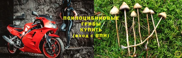 apvp Алексин