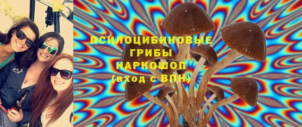 СК Алзамай