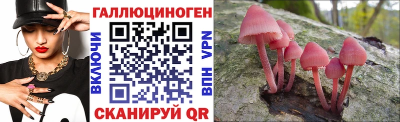 Псилоцибиновые грибы Cubensis  kraken как войти  Саки  закладка 
