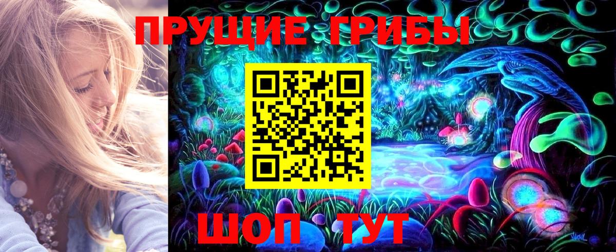Псилоцибиновые грибы мицелий  Псилоцибиновые грибы GOLDEN TEACHER  Саки  Вход с VPN 