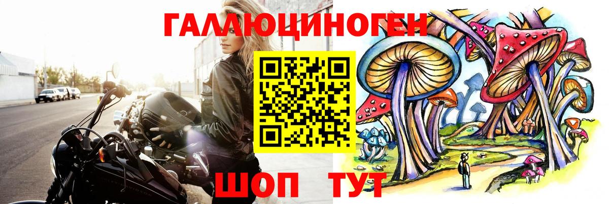 Галлюциногенные грибы Psilocybine cubensis Саки